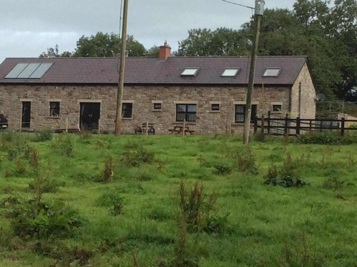 Villa Rathgillen House Nobber Exterior foto
